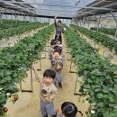 꿈을주는 어린이집 이미지