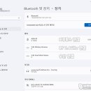 골드마우스