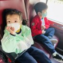 (주) 티피코 이미지