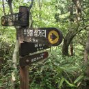 고대1087 이미지