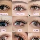 아미어린이집 | [공지] [파주미용학원] 파주미용학원에서 속눈썹 전문가로! 8회 완성 과정 후기 &amp; 창업 꿀팁