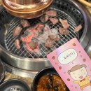 최강아지 이미지