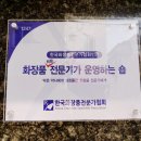 위드스킨앤바디 네이버블로그