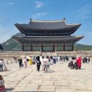 꿈을담은수학 | [서울 궁궐투어] 조선왕조의 상징,태평성대의 꿈을 담은곳 ☆경복궁☆방문후기