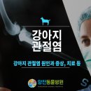 양천종합동물병원 이미지