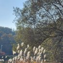 휴암로(1) 이미지