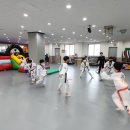 T-master 태권도 이미지