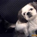 신평1동-2 이미지