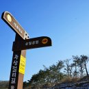 학여울길 이미지