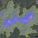 지리산 나무처럼 이미지