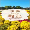 광역코스 이미지