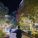 원리 농구장 | 명동 신세계 전광판 및 롯데백화점 본점 팝업 기간 및 시간