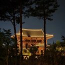 2026 국립세종수목원 야간개장 후기: 등불 대여, 궁궐 정원, 소원 기록소