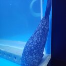 명신농장 | 남자친구와 휴가로 떠난 대구여행_3,4일차