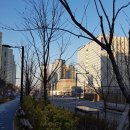 이마트 트레이더스 사거리(트레이더스쪽) 이미지