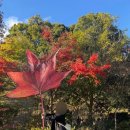 Myong이네 이미지