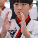 소나무 태권도장 이미지