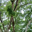 탑선마을 이미지