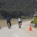 미정 - 평택시 | 미정