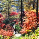 경기도 가평 가볼만한곳 아침고요수목원 가을 단풍 여행 동물원 아이와 가족여행 이미지