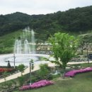 지리산숲속수목가옥 이미지