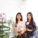 오승아 카카오 검색결과