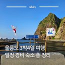 울릉도선창호텔 | 울릉도 3박4일 일정 경비 숙소 숙박 관광코스 추천 자유여행 총정리