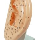 진산한의원 이미지