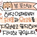 마요네즈 양재점 이미지