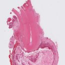 괴정수석치과의원 이미지