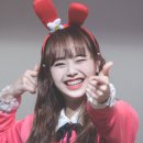 낑깡이랑 이미지