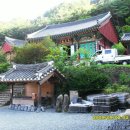 곡성-166 Daum카페