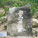 샘물컨설팅