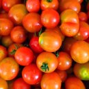 해전농장 이미지