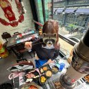 니하오훠궈고기부페 | [강남역 훠궈 맛집] 양갈비 양꼬치 무한리필 뷔페 무한숯불양꼬치