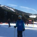 야간요가기초 이미지