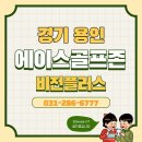 에이스골프존 이미지