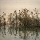 탄금호의 아침 이미지