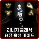 클래식 기타의 모든 것 : 초급 | 리니지 클래식 요정 스탯 마법 장비 육성 공략, 드랍 테이블 도감