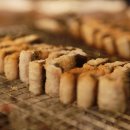 대머리장어 이미지