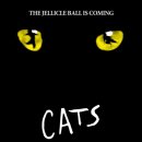 (공연) 캣츠 오리지널 내한공연1 이미지