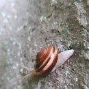 만세협동조합 이미지