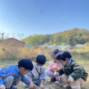 창릉어린이집 이미지