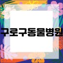 올바른 동물병원 이미지