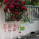 김밥천국(금강펜테리움점) | [호주 워홀 in 멜버른] 141-147일 : 일상에 따뜻함 불어 넣기