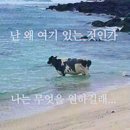 386친구들 | 🇲🇾 + 386