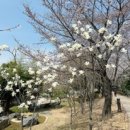 스카이2층약국 이미지
