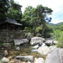 원효정사 이미지