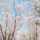 은파호수공원 9-2 네이버블로그