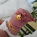 민규농장 이미지